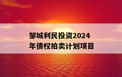邹城利民投资2024年债权拍卖计划项目