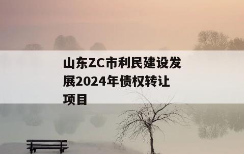 山东ZC市利民建设发展2024年债权转让项目