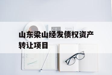 山东梁山经发债权资产转让项目 山东梁山经发债权资产转让项目