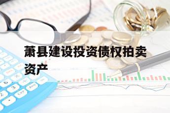 萧县建设投资债权拍卖资产