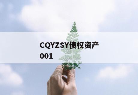 CQYZSY债权资产001 CQYZSY债权资产001