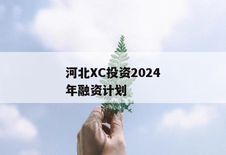 河北XC投资2024年融资计划