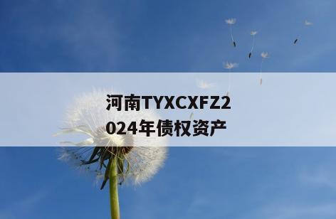 河南TYXCXFZ2024年债权资产