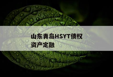山东青岛HSYT债权资产定融 山东青岛HSYT债权资产定融