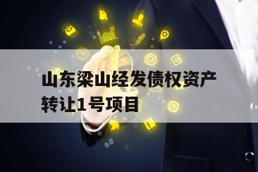 山东梁山经发债权资产转让1号项目