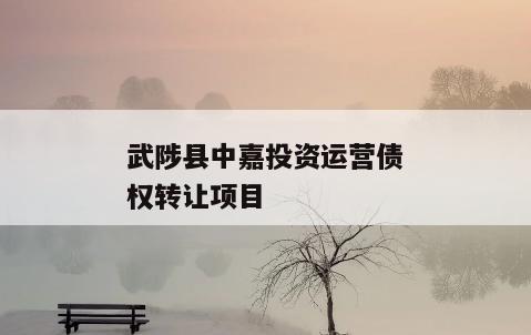 武陟县中嘉投资运营债权转让项目