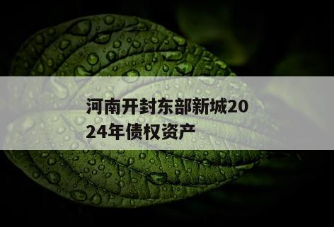 河南开封东部新城2024年债权资产