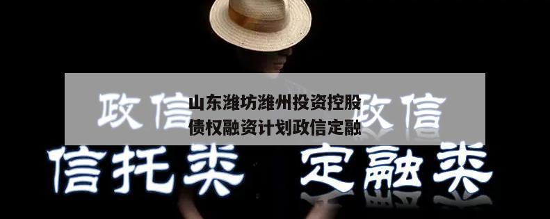 山东潍坊潍州投资控股债权融资计划政信定融