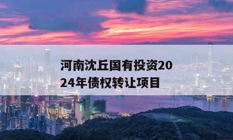 河南沈丘国有投资2024年债权转让项目