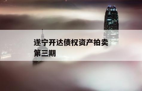 遂宁开达债权资产拍卖第三期